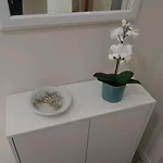 My House In *